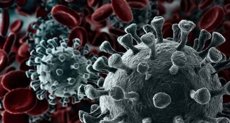 31-01-20-yef6mqszp3t2s5i